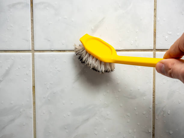 Certified Mold Removal in Barnwell, SC