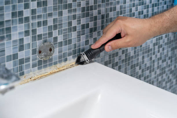 Best Professional Mold Removal  in Barnwell, SC