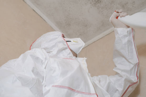 Best Toxic Mold Removal  in Barnwell, SC