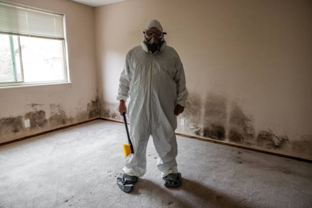 Best Mold Testing  in Barnwell, SC