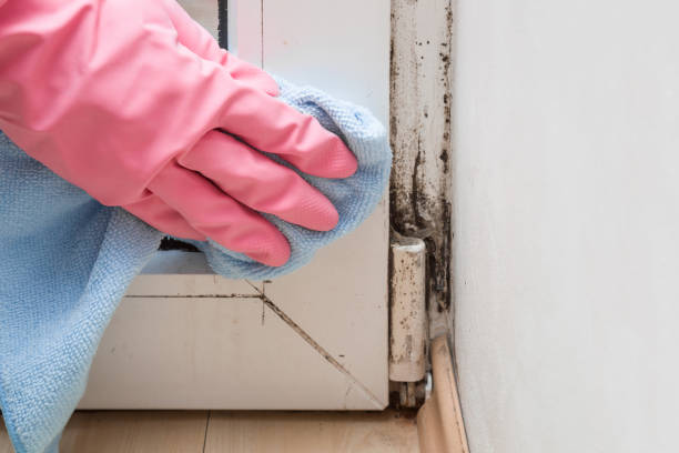 Best Mold Cleaning Services  in Barnwell, SC